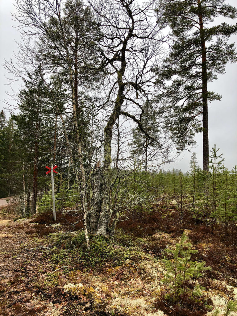 Härliga naturupplevelser